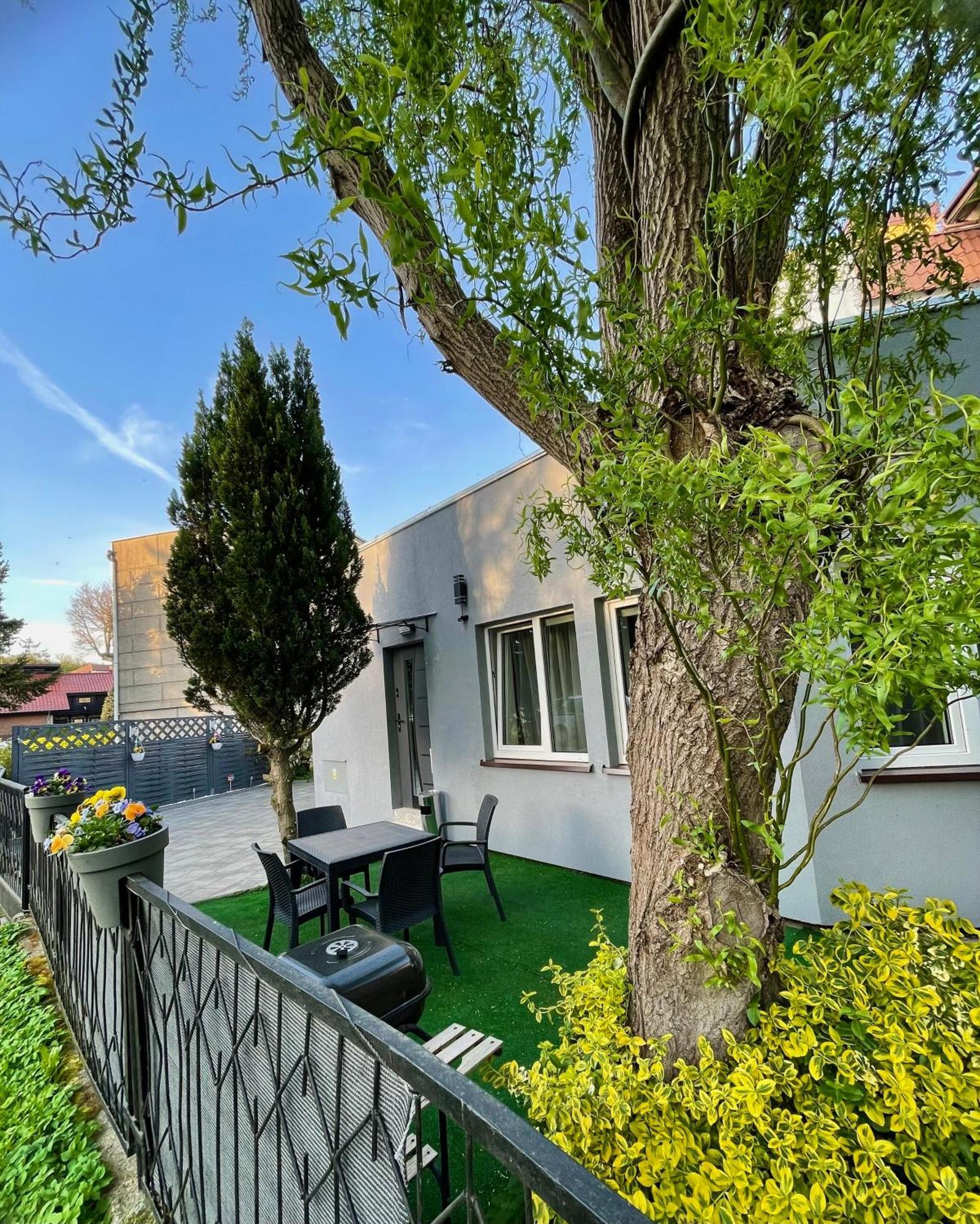 קולובז'ג Apartament Jodlowa מראה חיצוני תמונה